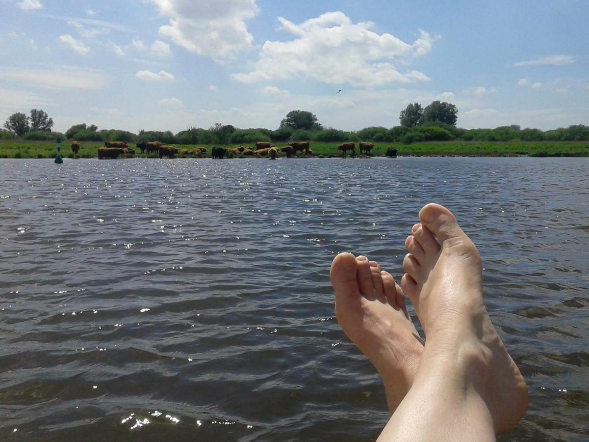 Bed En Breakfast Uitrust Lauwerzijl Zewnętrze zdjęcie